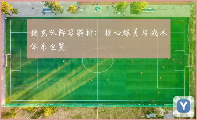 捷克队阵容解析：核心球员与战术体系全览
